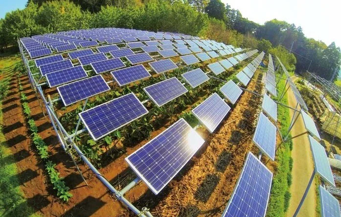 Agrivoltaico no Brasil: Como Integrar Producao Solar e Agricultura em Projetos Rentaveis